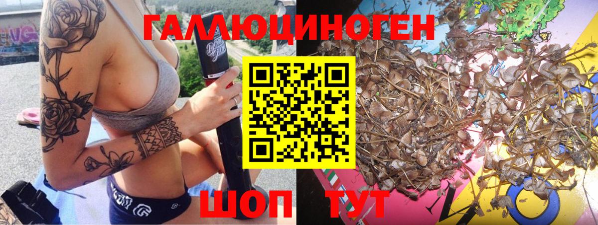 Галлюциногенные грибы MAGIC MUSHROOMS Екатеринбург